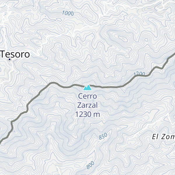 Map of Cerro Zarzal