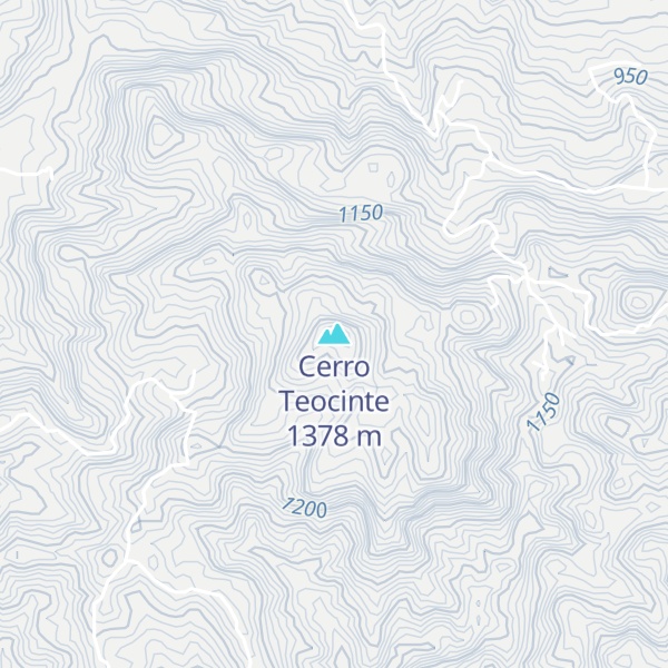 Map of Cerro Teocinte