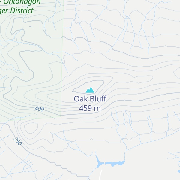 Map of Oak Bluff