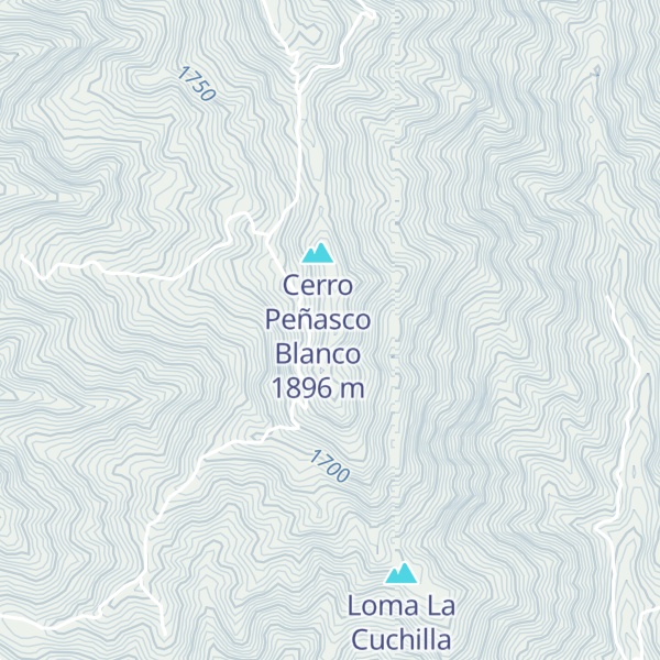 Map of Cerro Chagüitón