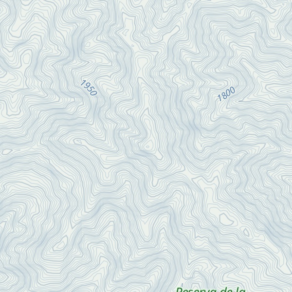 Map of Cerro Paspado