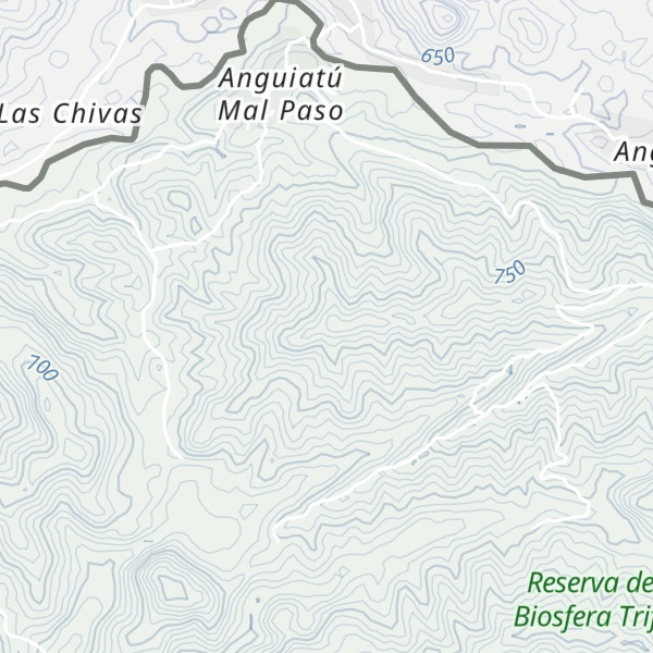 Map of Lomas Pino Gacho