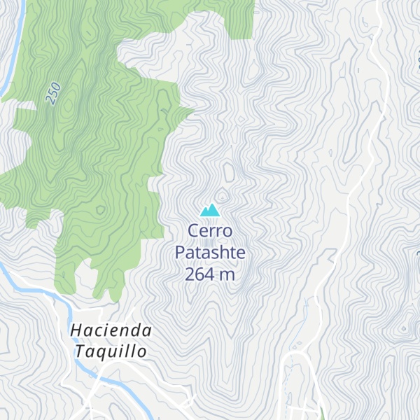 Map of Cerro Patashte