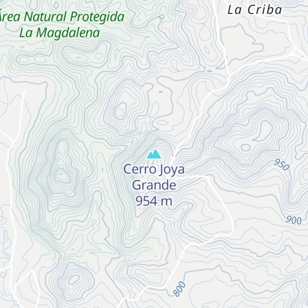 Map of Cerro Joya Grande