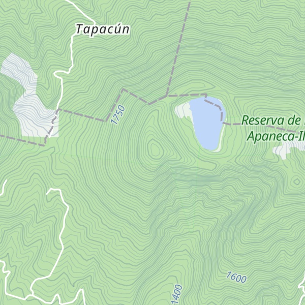 Map of Cerro de la Laguna