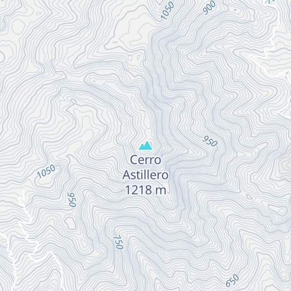 Map of Cerro Astillero
