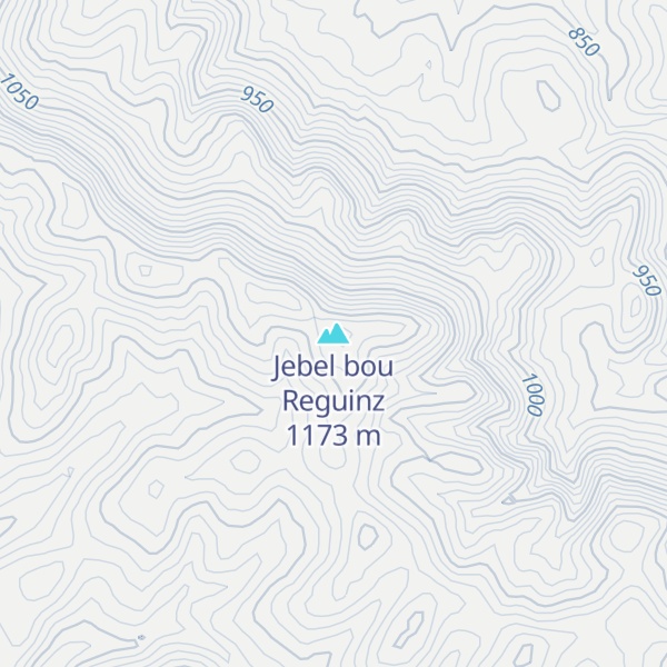 Map of Jebel bou Reguinz