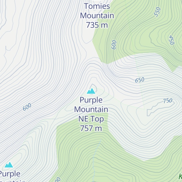 Map of Purple Mountain NE Top