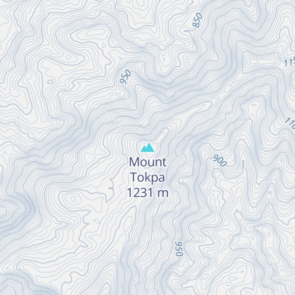 Map of Mount Tokpa