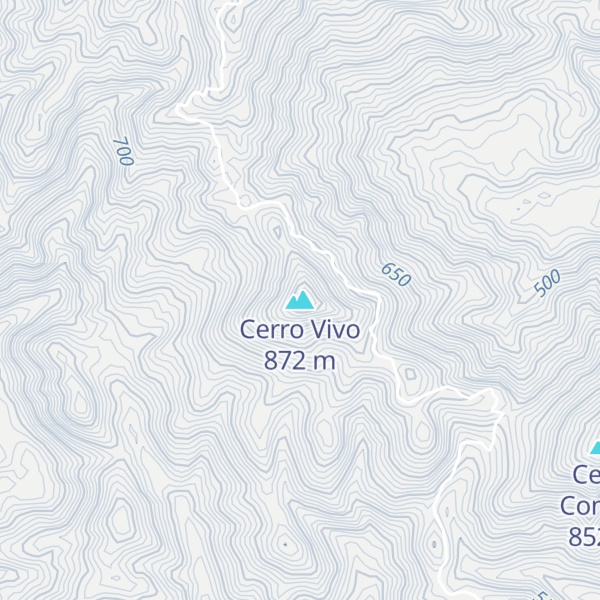 Map of Cerro Vivo