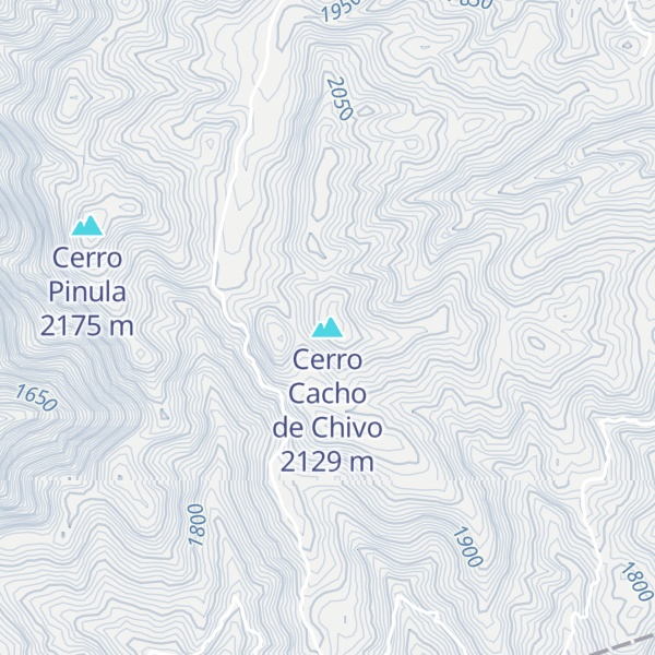 Map of Cerro Cacho de Chivo