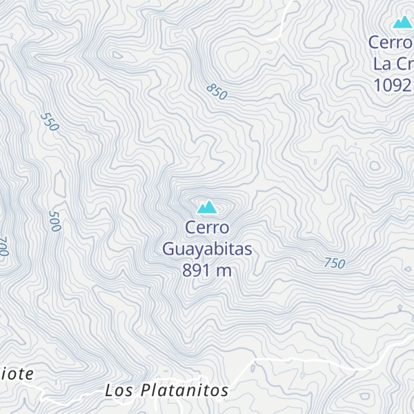 Map of Cerro Guayabitas