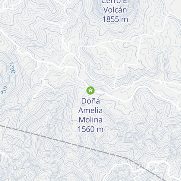 Map of Doña Amelia Molina
