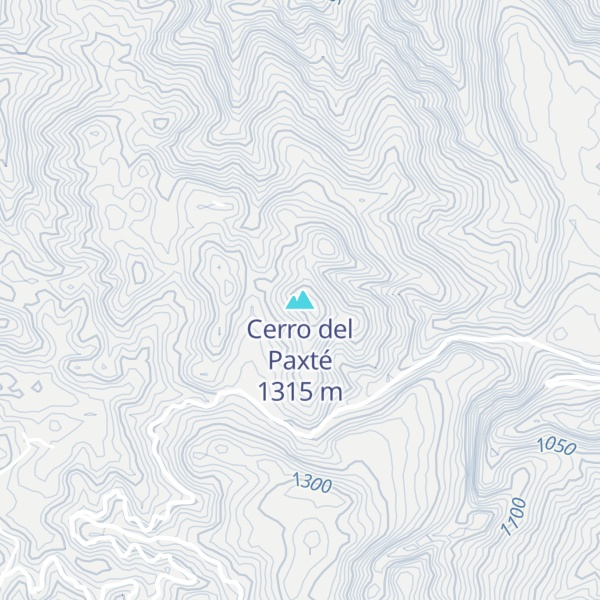 Map of Cerro del Paxté