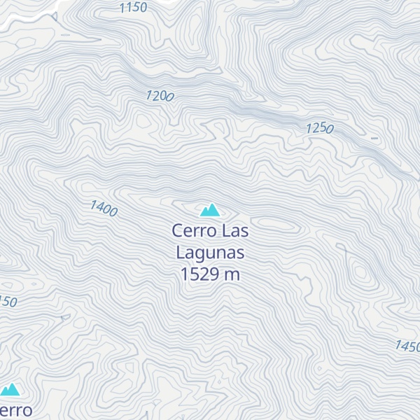 Map of Cerro Las Lagunas