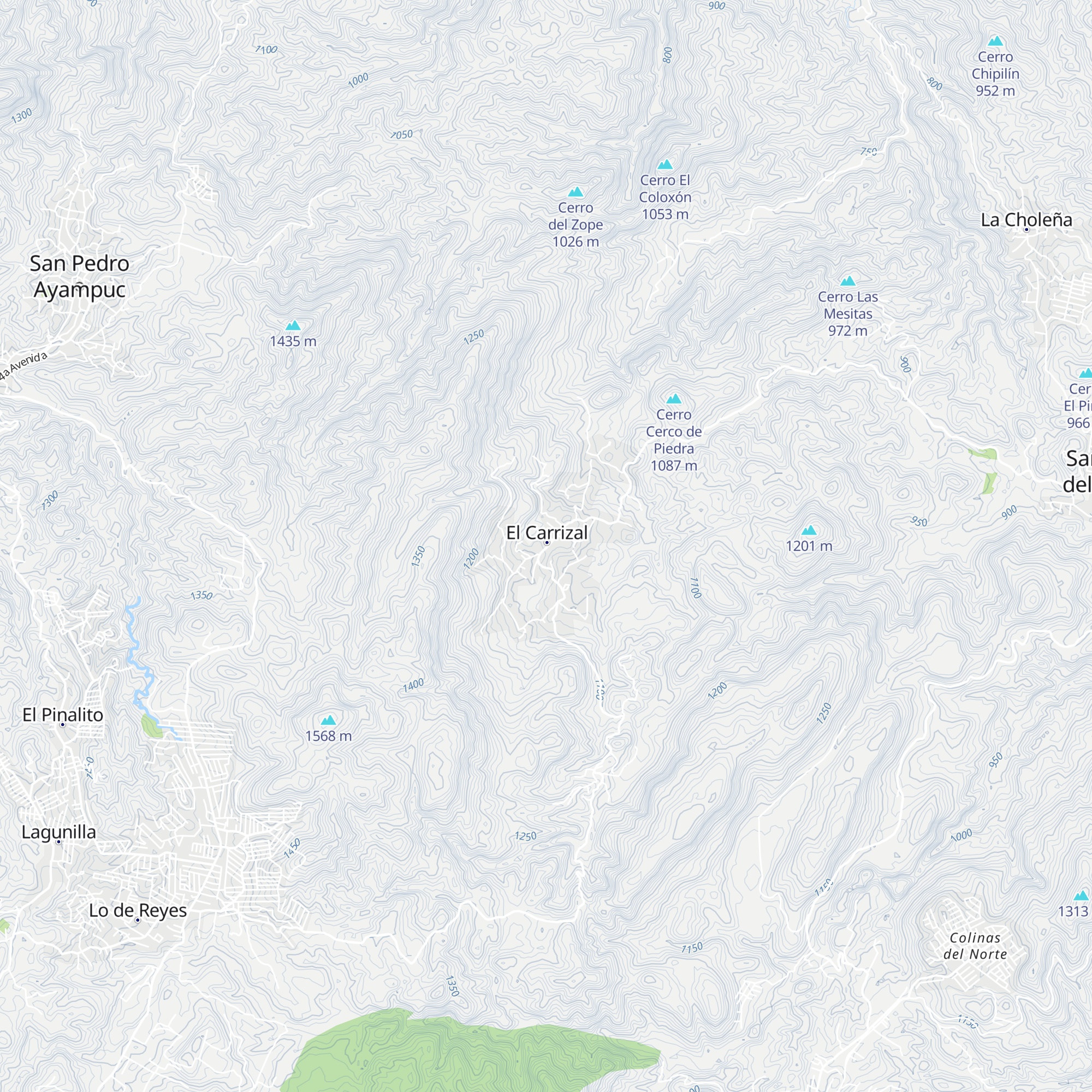 Agroservicio Carrizal map