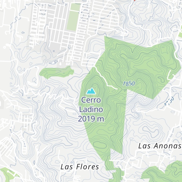 Map of Cerro Ladino