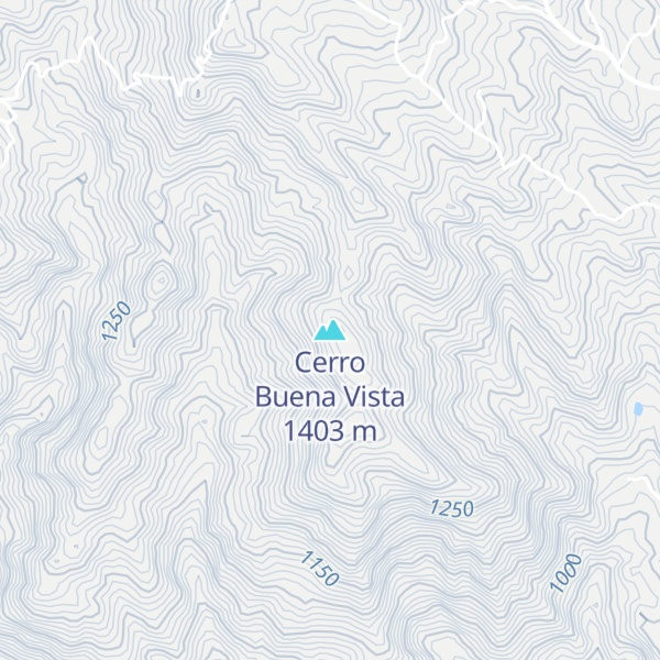 Map of Cerro Buena Vista