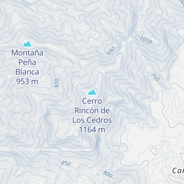 Map of Cerro Rincón de Los Cedros