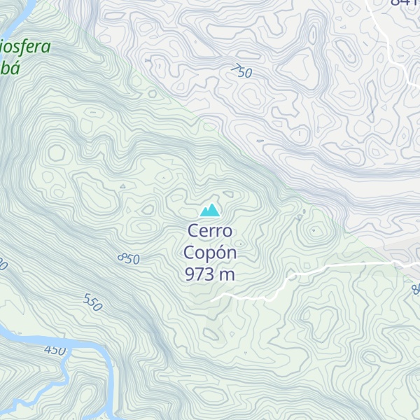 Map of Cerro Copón