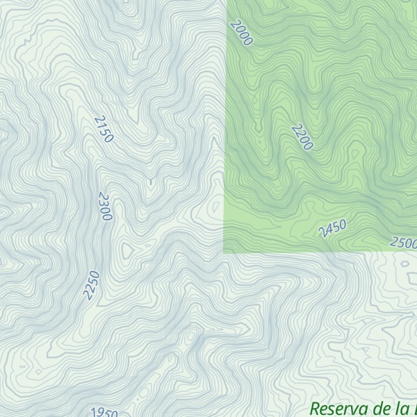 Map of Cerro Bisich