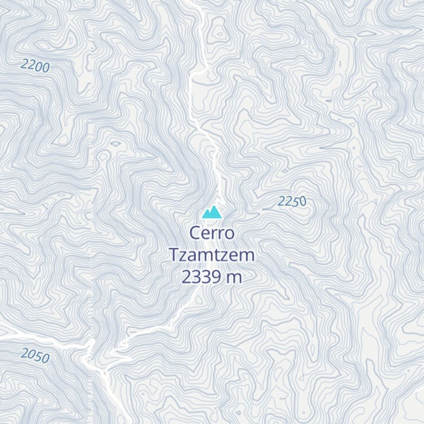 Map of Cerro Tzamtzem
