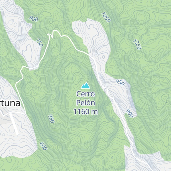 Map of Cerro Pelón
