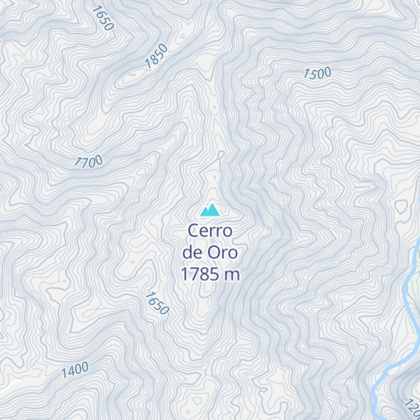 Map of Cerro de Oro
