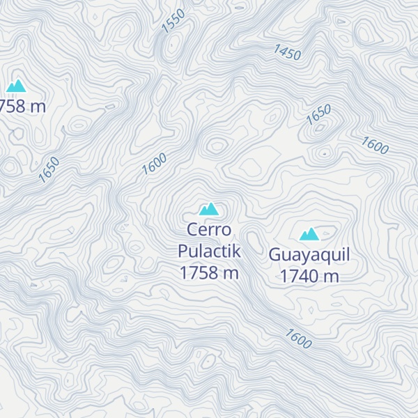 Map of Cerro Pulactik