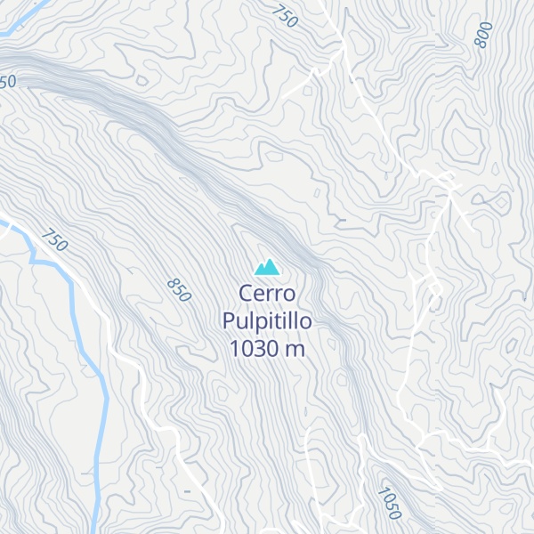 Map of Cerro Pulpitillo