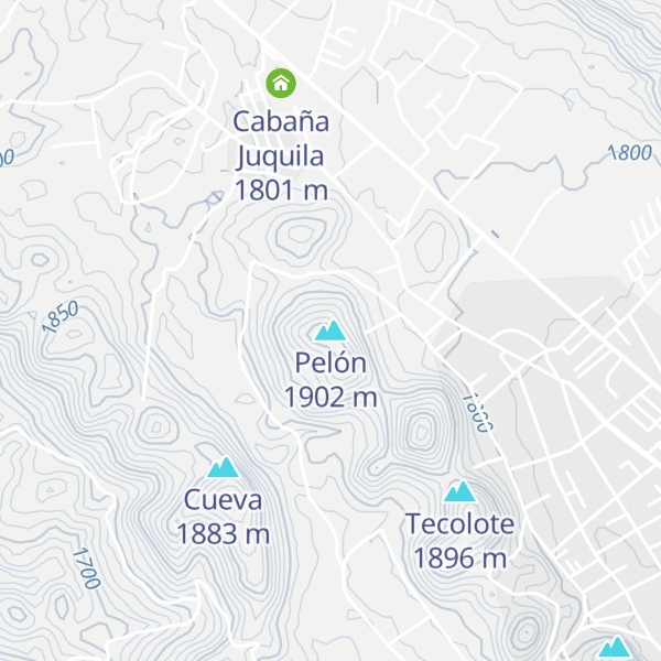 Map of Pelón