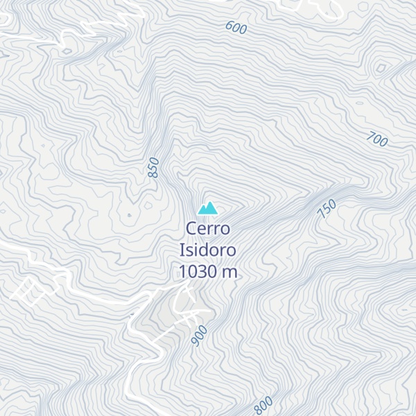 Map of Cerro Isidoro