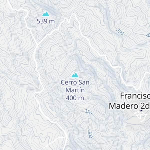 Map of Cerro San Martín