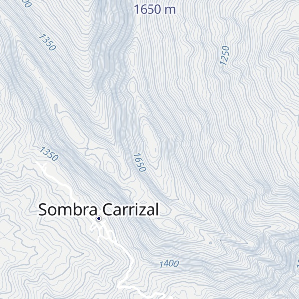 Map of Cerro Carrizal