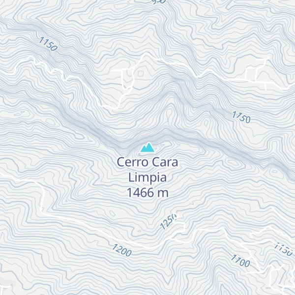 Map of Cerro Cara Limpia