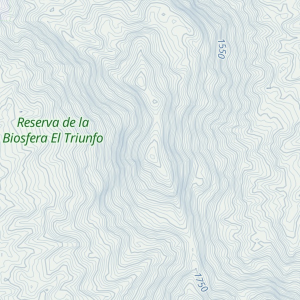 Map of Cerro San Antonio