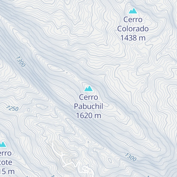 Map of Cerro Pabuchil