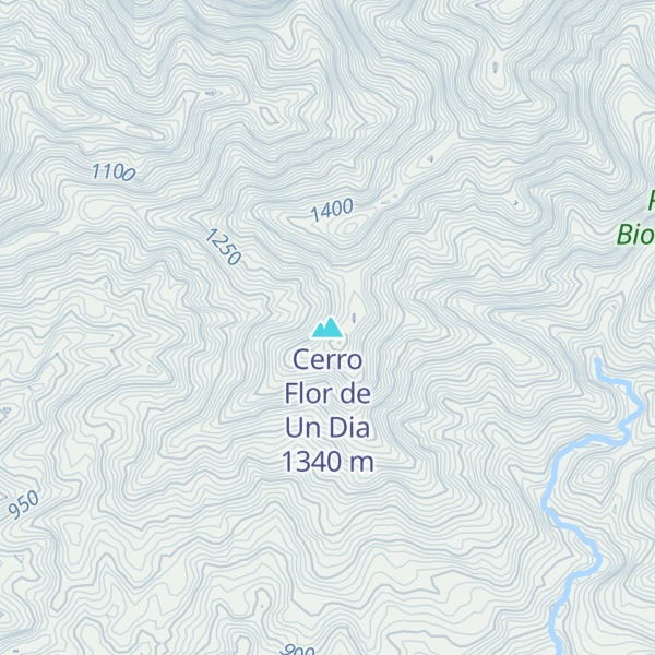 Map of Cerro Flor de Un Dia