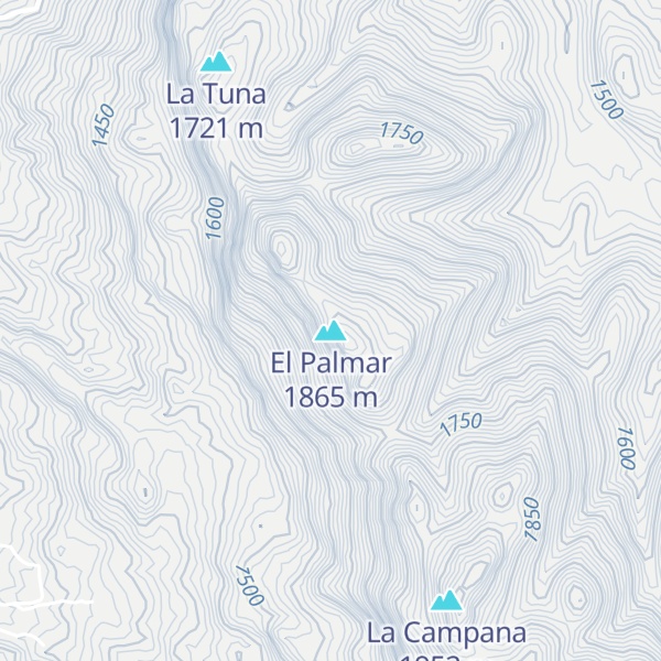 Map of El Palmar