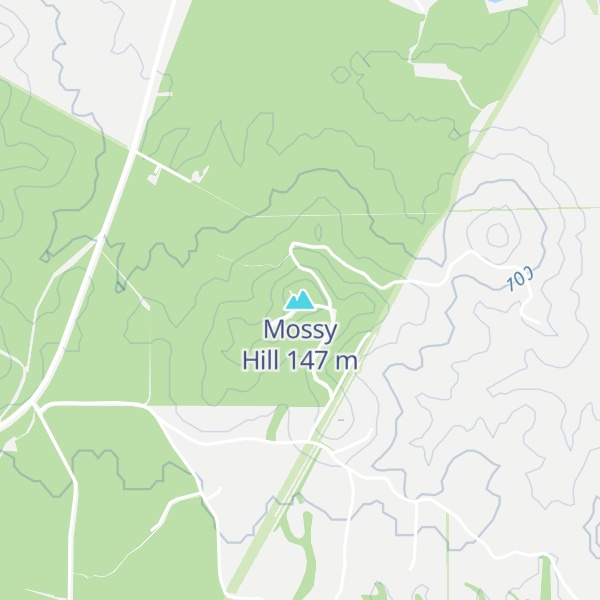 Map of Mossy Hill