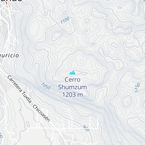 Map of Cerro Shumzum