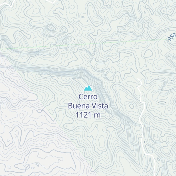 Map of Cerro Buena Vista