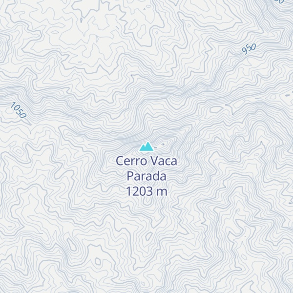 Map of Cerro Vaca Parada
