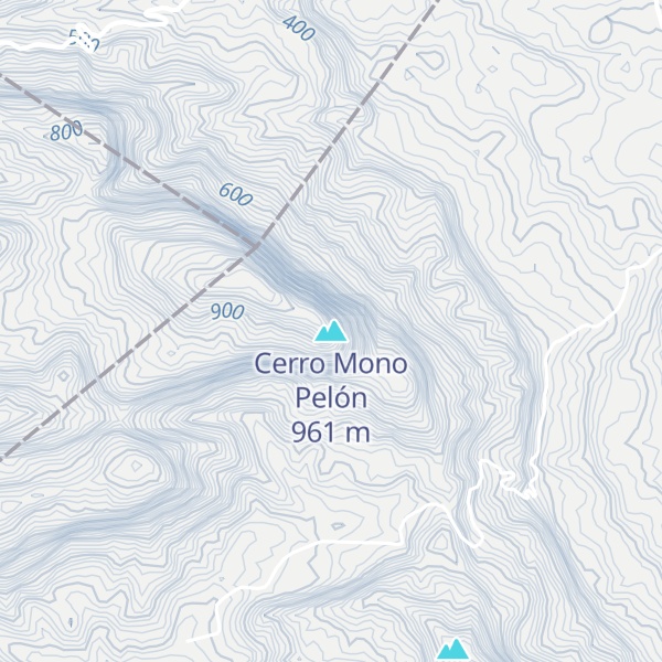 Map of Cerro Mono Pelón