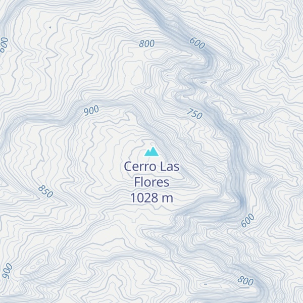 Map of Cerro Las Flores