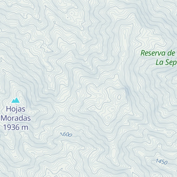 Map of Cerro Caracol