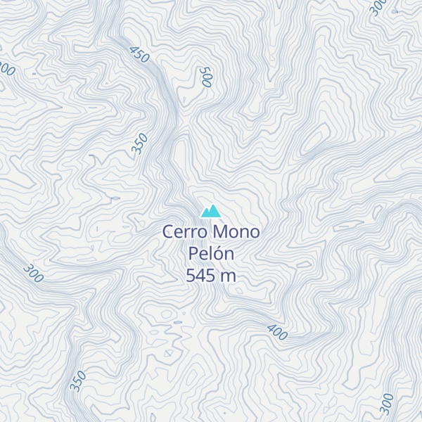 Map of Cerro Mono Pelón