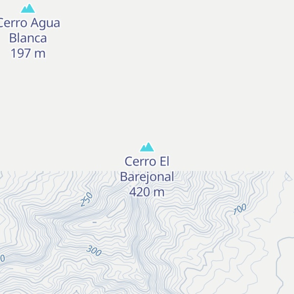 Map of Cerro El Barejonal