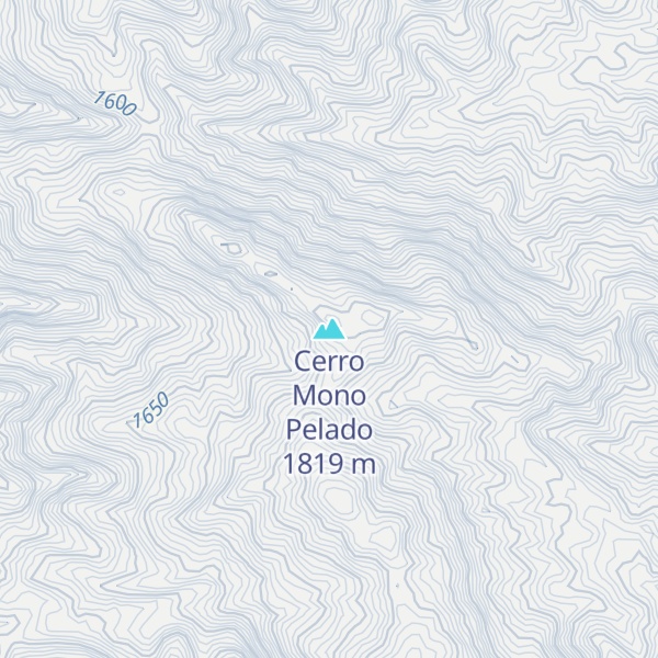 Map of Cerro Mono Pelado