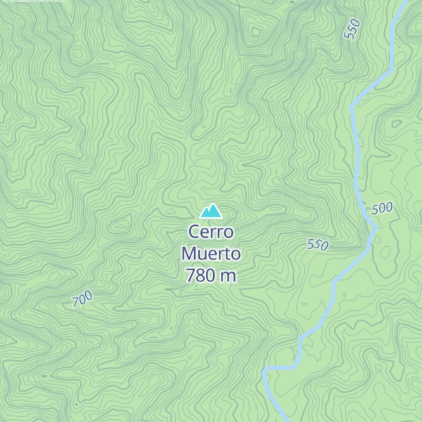 Map of Cerro Muerto
